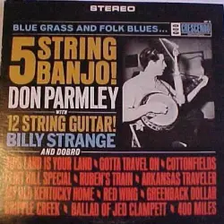 Blue Grass And Folk Blues... 5 String Banjo! With 12 String Guitar! (And Dobro)