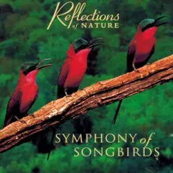 Symphony of Songbirds
