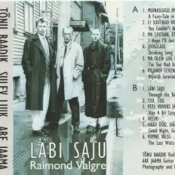 Läbi saju