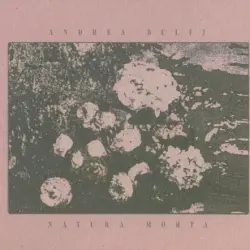 Natura morta