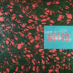 Acid Safari