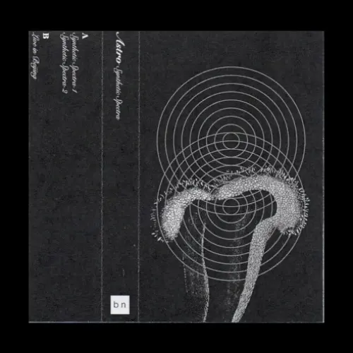 Synthetic Spectra