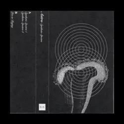 Synthetic Spectra