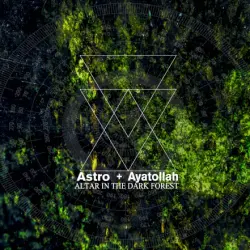 Altar in the Dark Forest
