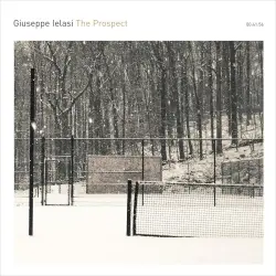 The Prospect
