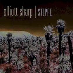 Steppe