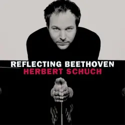 Reflecting Beethoven