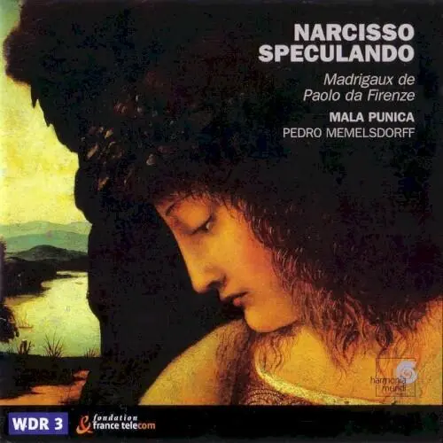 Narcisso Speculando