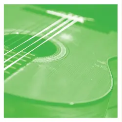 VDSQ Solo Acoustic Vol.13