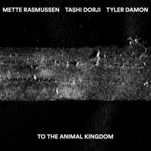To the Animal Kingdom
