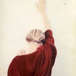 Porcelain