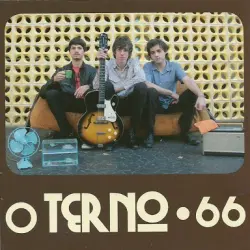 66 66