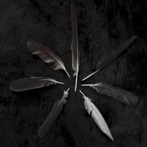 Dust and Disquiet