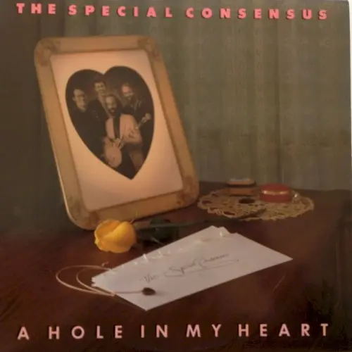 A Hole in My Heart
