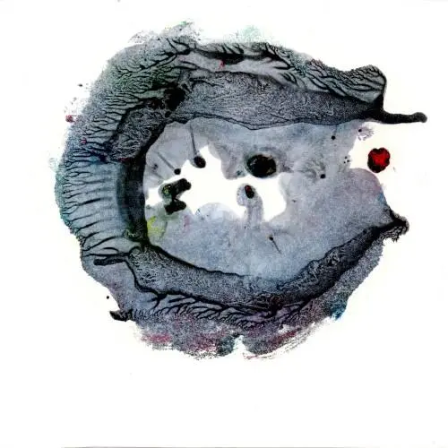 Shelter