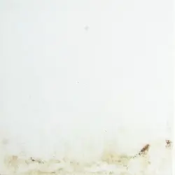 Snow Drift Study