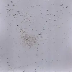 Gravel