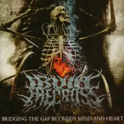 Bridging the Gap Between Mind and Heart