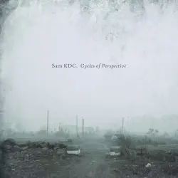 Cycles of Perspective