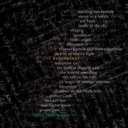 Palimpsest