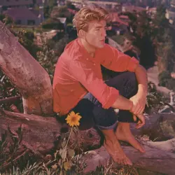 Songs for a Lazy Afternoon