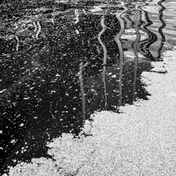 Thawing Gravity