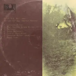 Ballads for the Immortal Watcher