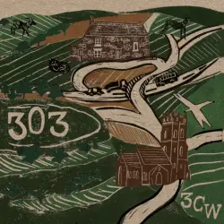 303