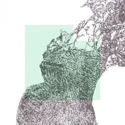 Peace Fragments