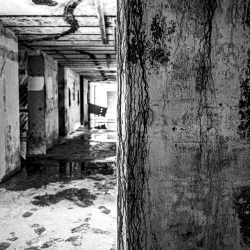 Bunker