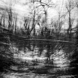 Wound Storm
