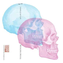 WOGAN SKULL