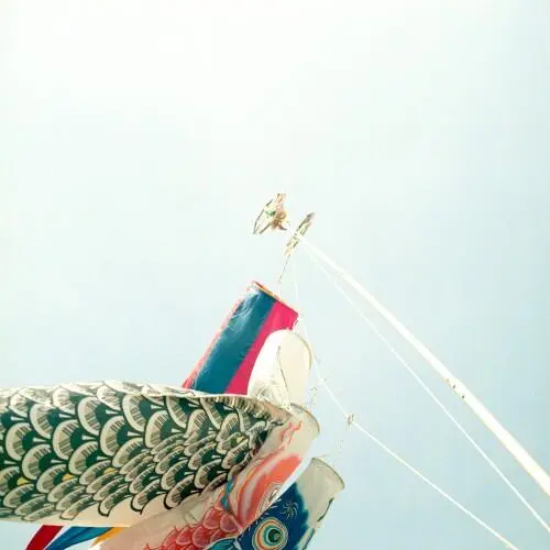 Wild Air