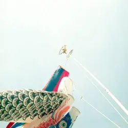 Wild Air