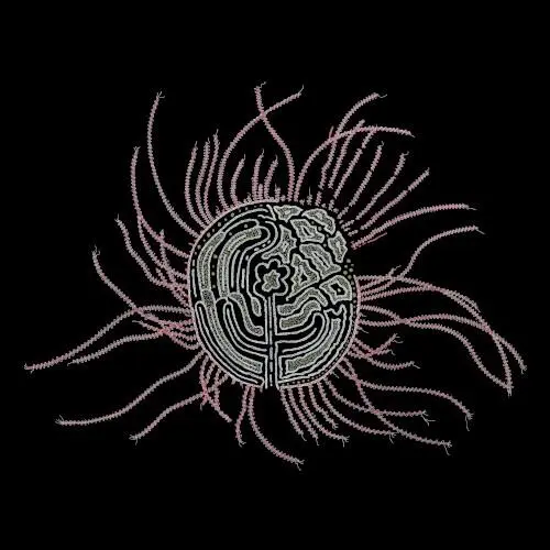 Bearings: Soundtracks for the Bardos