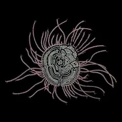 Bearings: Soundtracks for the Bardos