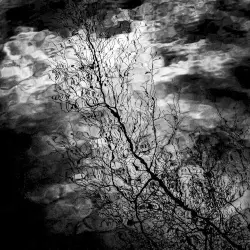 Perma De‐Frost Perma De‐Frost
