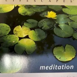 Lifescapes: Meditation
