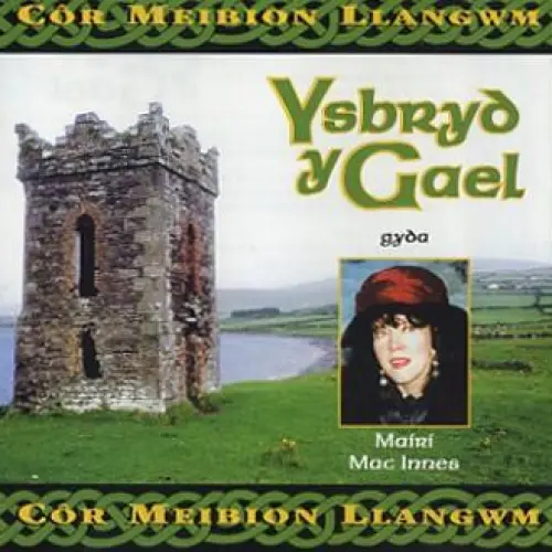 Ysbryd Y Gael