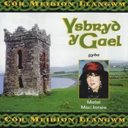 Ysbryd Y Gael