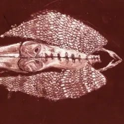 Homb