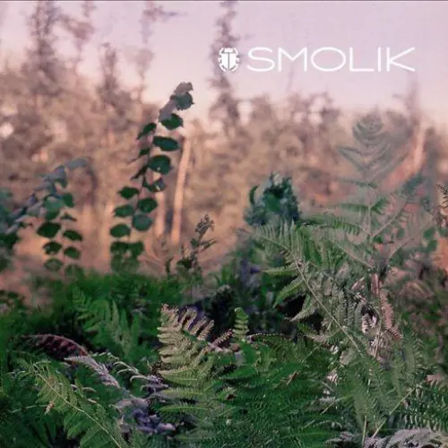 Smolik 2