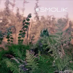 Smolik 2