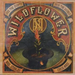 Wildflower