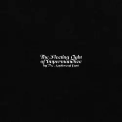 The Fleeting Light of Impermanence