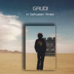 In Between Times