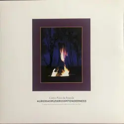 Aurorasmushroomtenderness