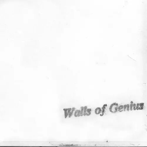 The White Cassette