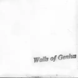 The White Cassette