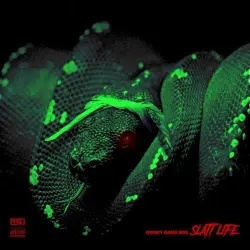 Slatt Life